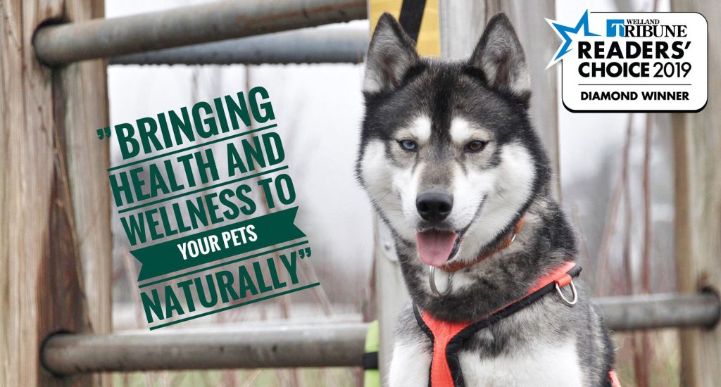 Bringing health and wellness to your pets naturally