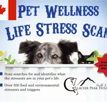 Pet Wellness Life Stress Scan by Glacier Peak Holistics